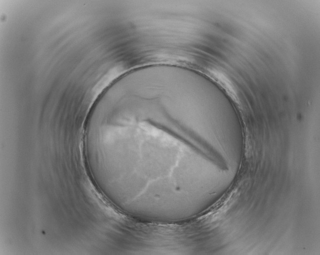 X0000088390899200706121207