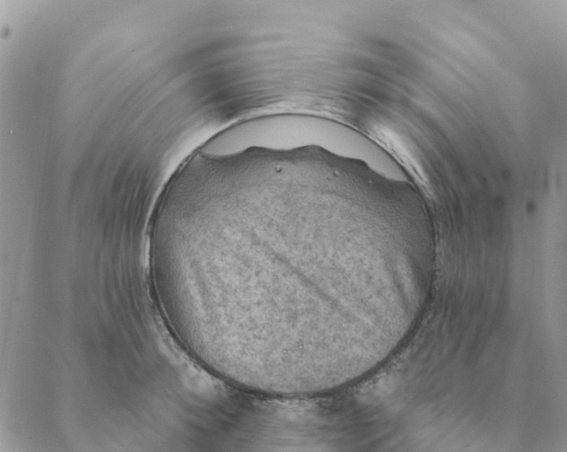 X0000088390900200706121207