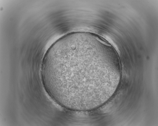 X0000088390901200706121207