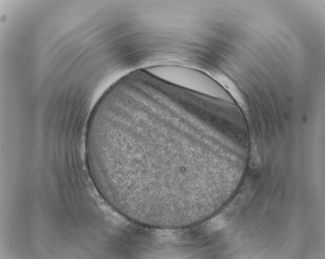 X0000088390904200706121207