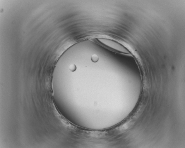 X0000088390905200706121207