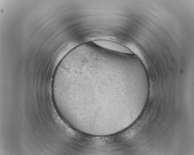 X0000088390906200706121207