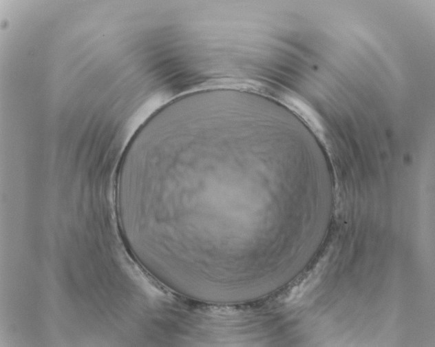 X0000088390907200706121207