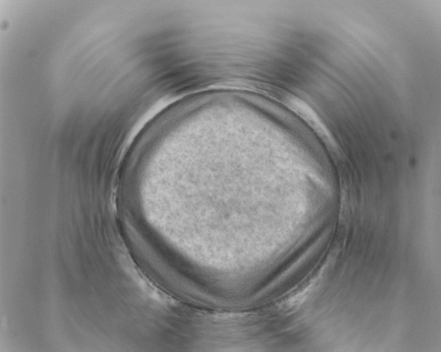 X0000088390908200706121207