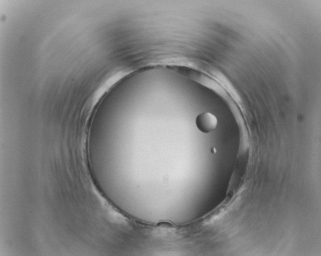 X0000088390909200706121207