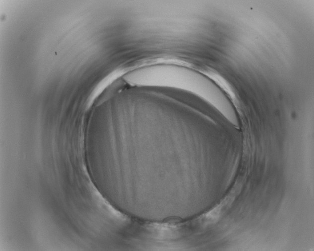 X0000088390910200706121207