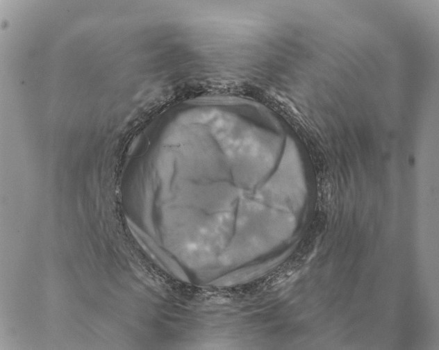 X0000088390913200706121206