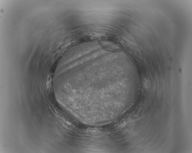 X0000088390914200706121206