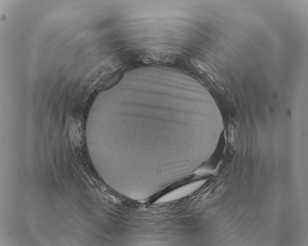 X0000088390915200706121206