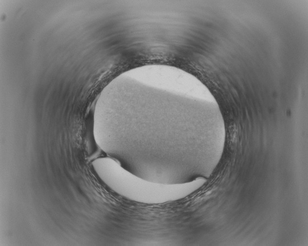 X0000088390916200706121206