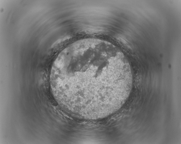 X0000088390917200706121206