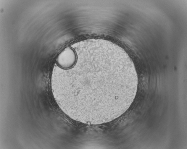 X0000088390918200706121206