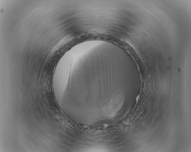 X0000088390919200706121206