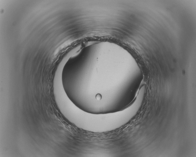 X0000088390920200706121206