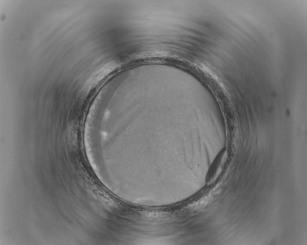 X0000088390921200706121206