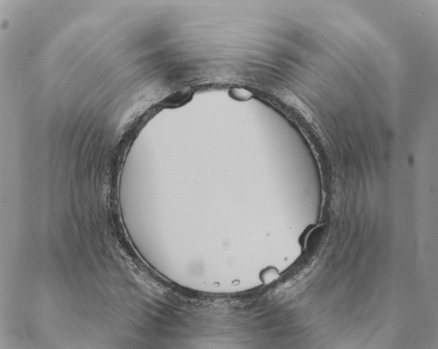 X0000088390922200706121206