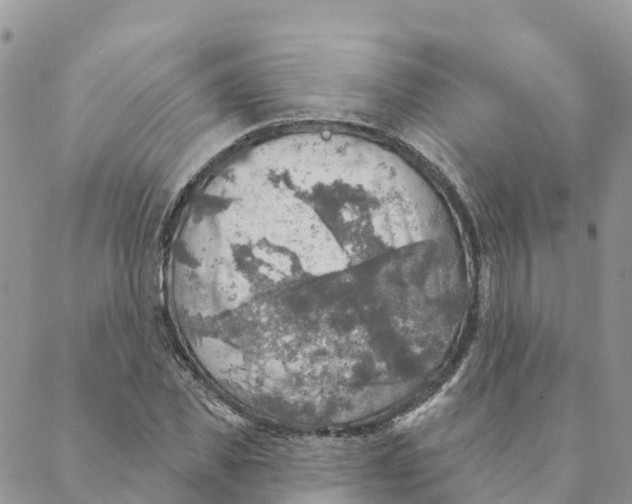 X0000088390925200706121206