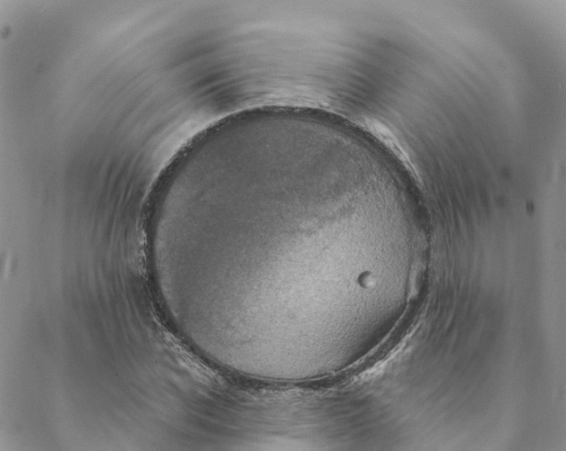 X0000088390926200706121206