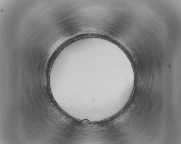 X0000088390927200706121206