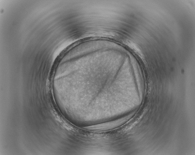 X0000088390928200706121206