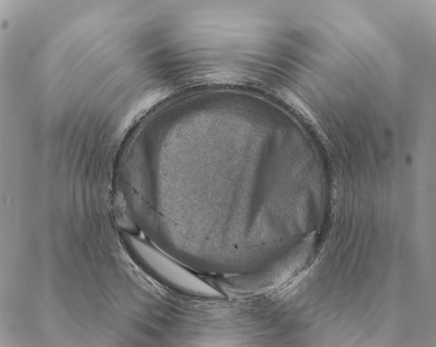 X0000088390930200706121206