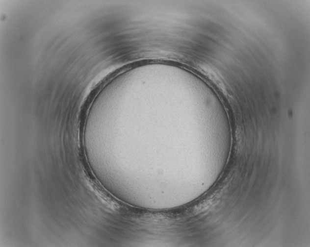 X0000088390931200706121206