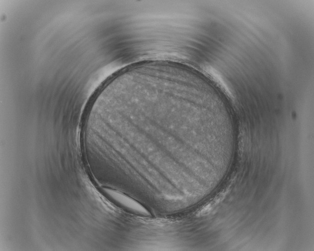 X0000088390932200706121206