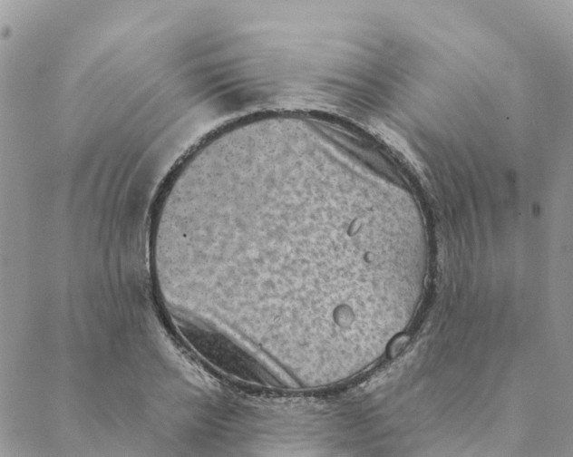 X0000088390934200706121206