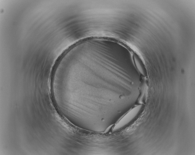 X0000088390935200706121206