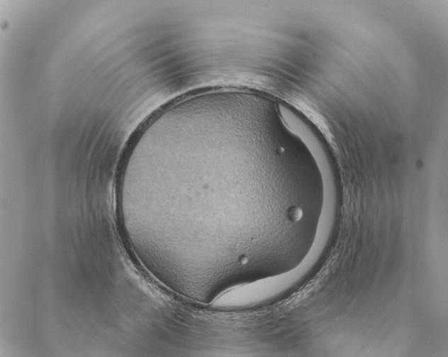 X0000088390936200706121206