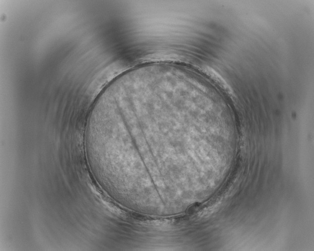 X0000088390937200706121206