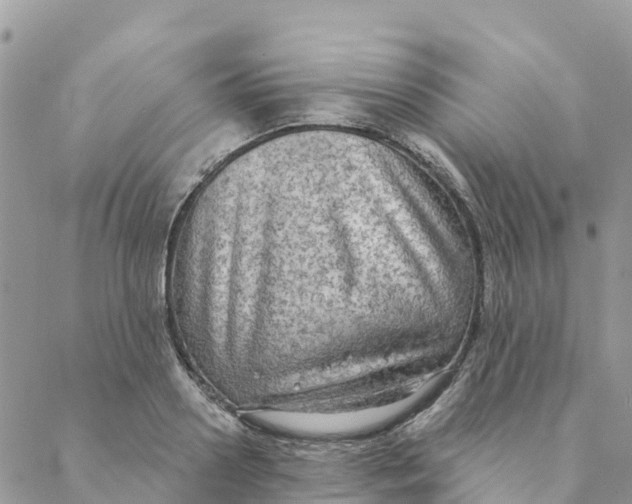 X0000088390938200706121206