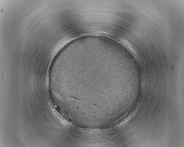 X0000088390940200706121206