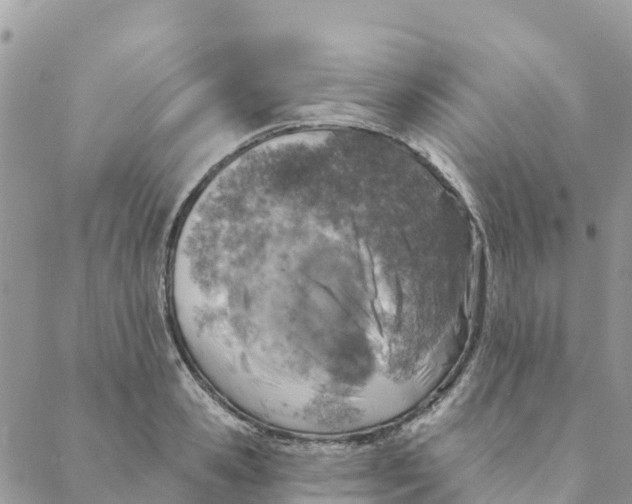 X0000088390941200706121206