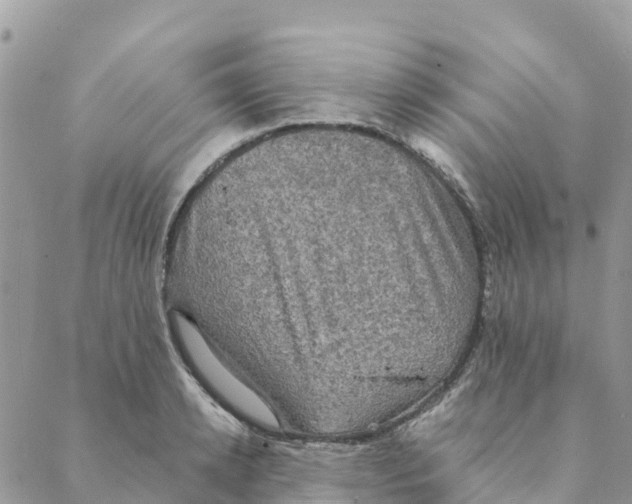 X0000088390942200706121206