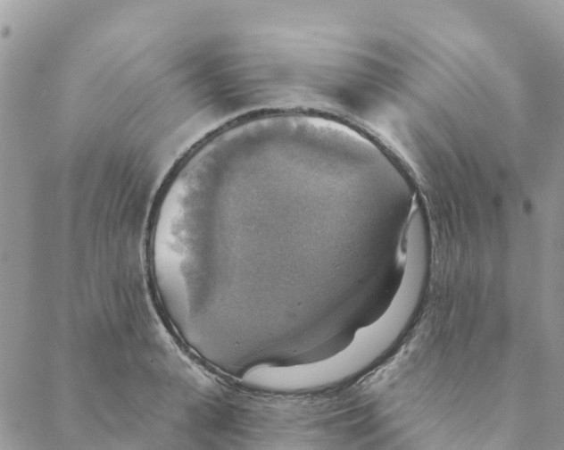 X0000088390943200706121206