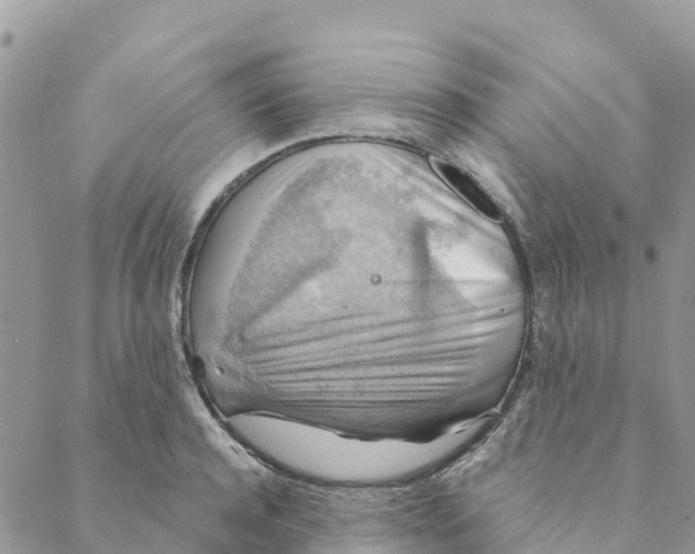 X0000088390944200706121206