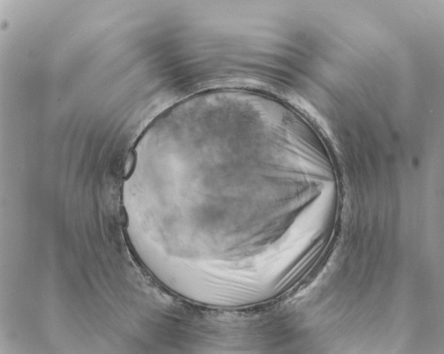 X0000088390945200706121206