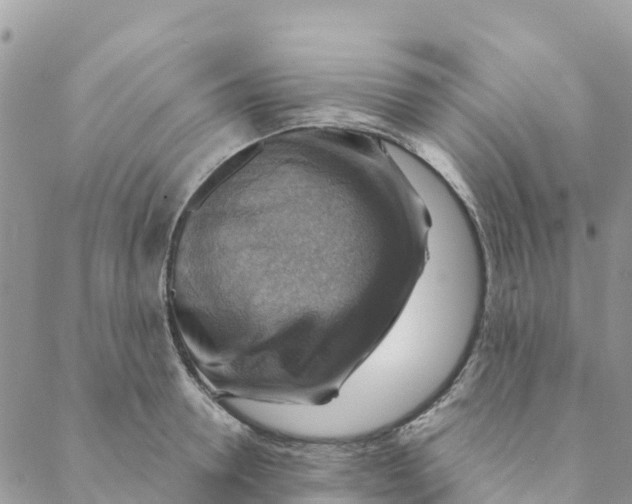 X0000088390946200706121206