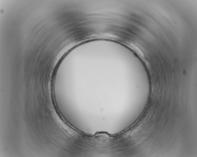 X0000088390947200706121206