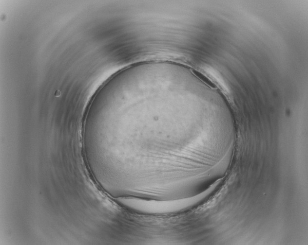 X0000088390948200706121206