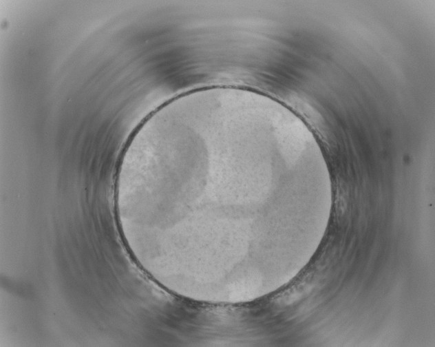 X0000088390950200706121206