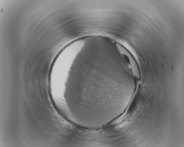 X0000088390951200706121206