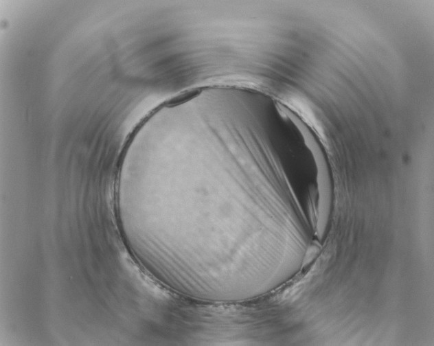 X0000088390952200706121207