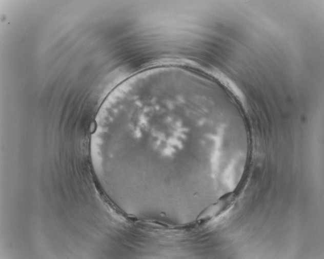 X0000088390953200706121207