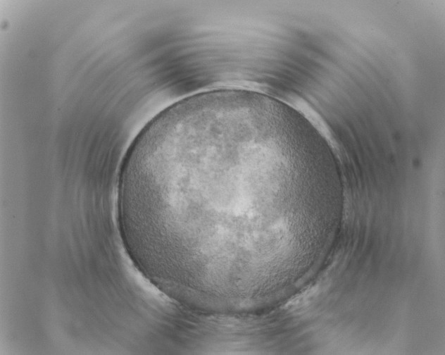 X0000088390955200706121207