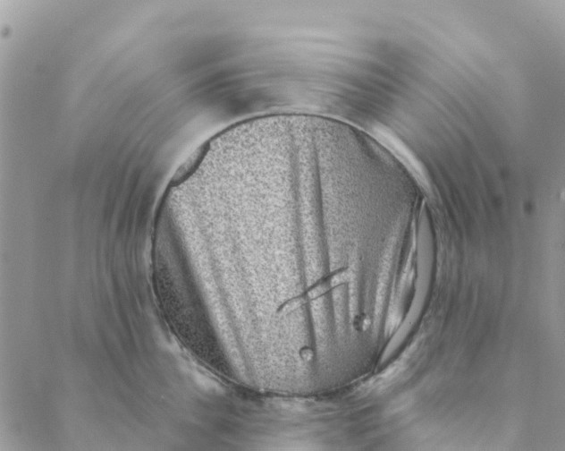 X0000088390956200706121207