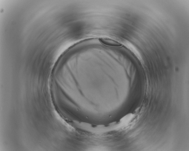 X0000088390958200706121207