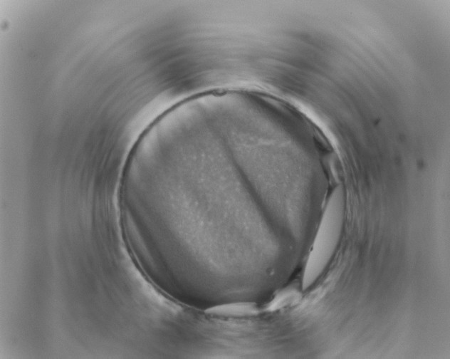 X0000088390959200706121207