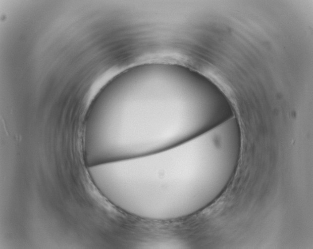 X0000088390960200706121207